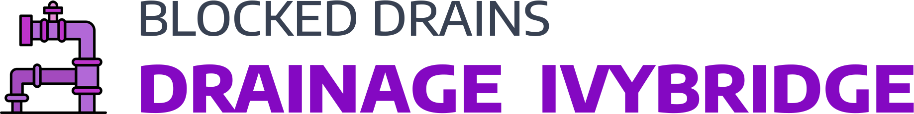 website logo